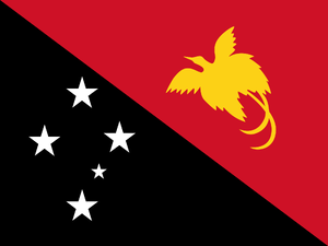 New Escanaba's Papua New Guinea Flag.png